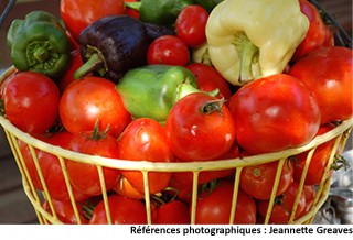 panier de tomates et de poivrons