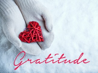 gratitude